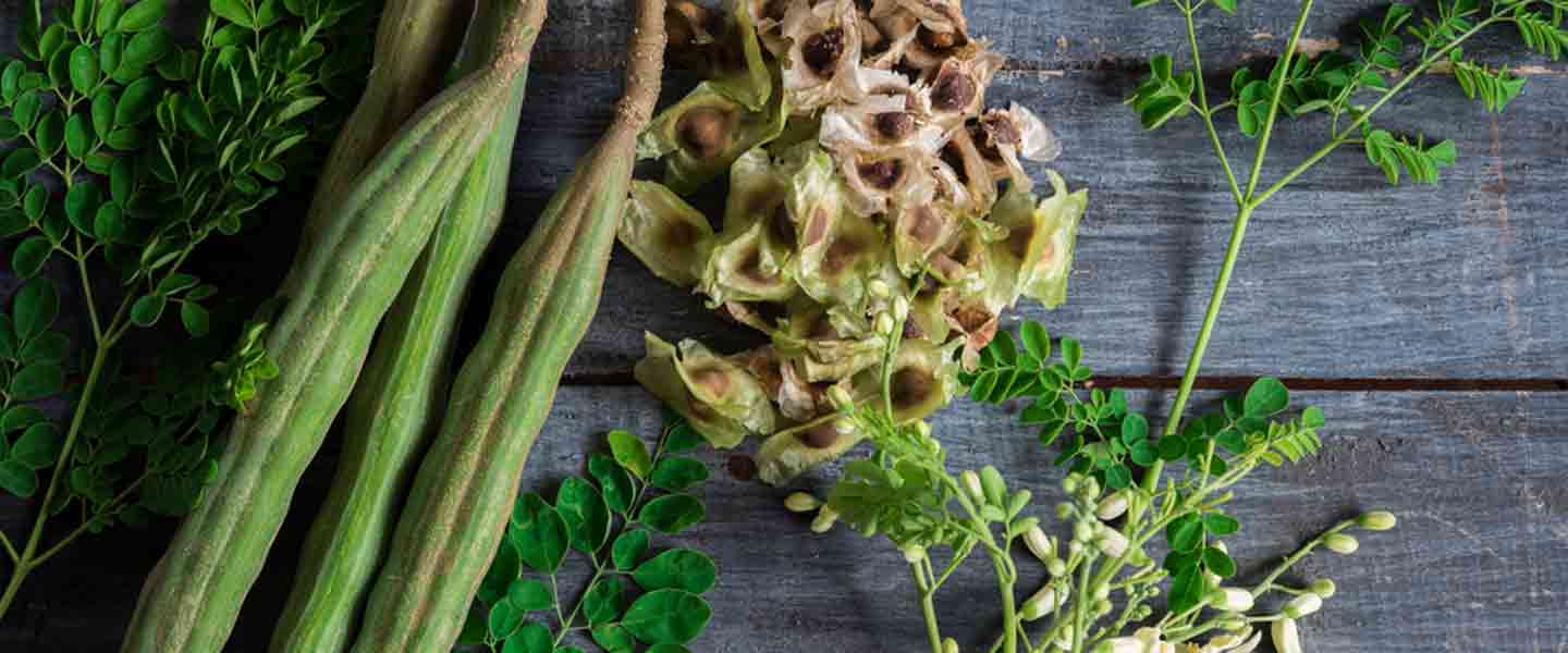 Ի՞նչ է Moringa թեյը, որո՞նք են Moringa թեյի առավելությունները: